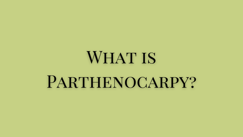 what is Parthenocarpy