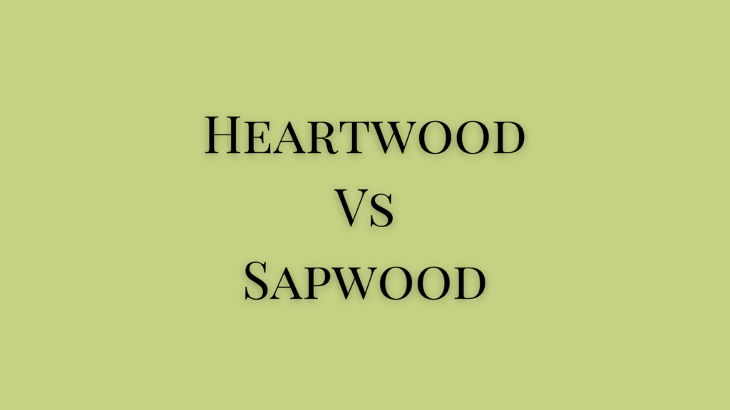 heartwood and sapwood