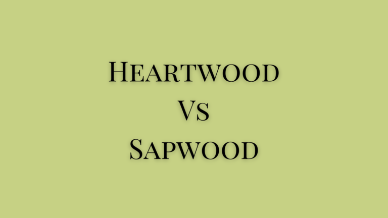 heartwood and sapwood