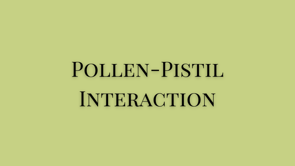 explain pollen pistil interaction