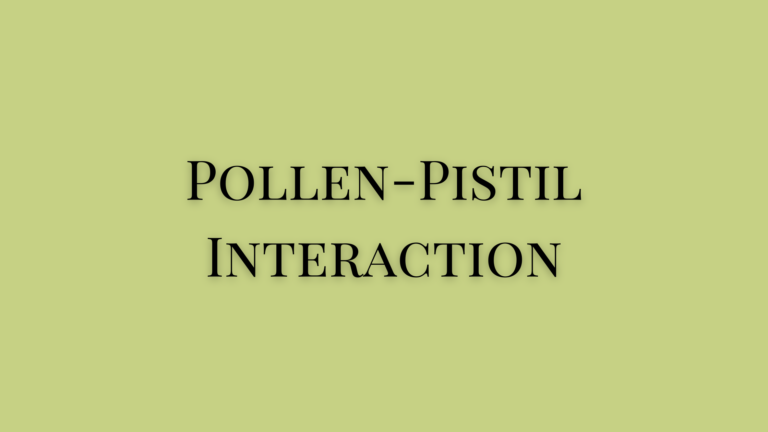 explain pollen pistil interaction