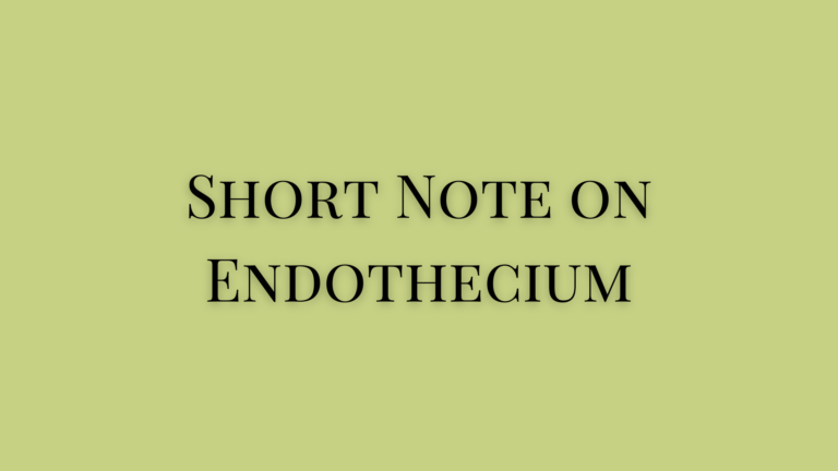 Endothecium