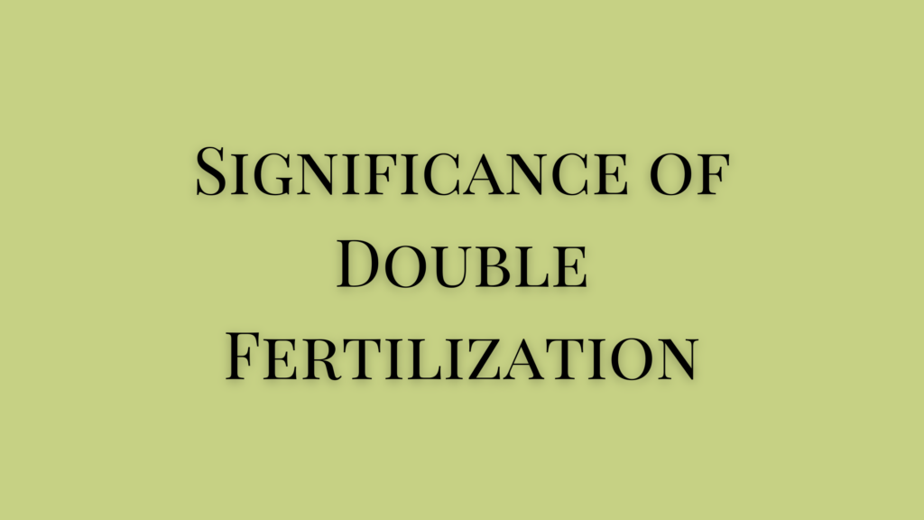 Significance of Double Fertilization