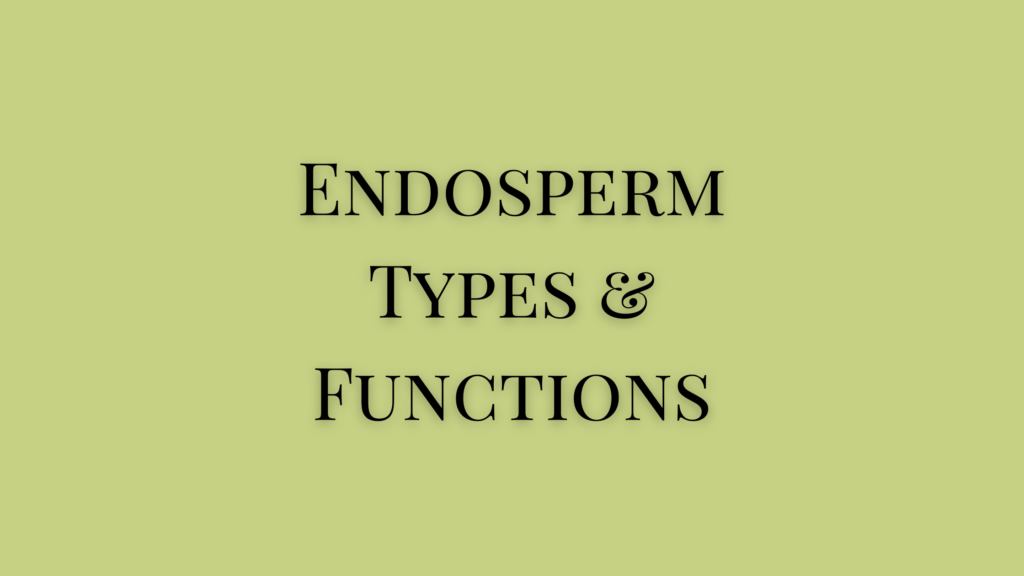 types of endosperm development