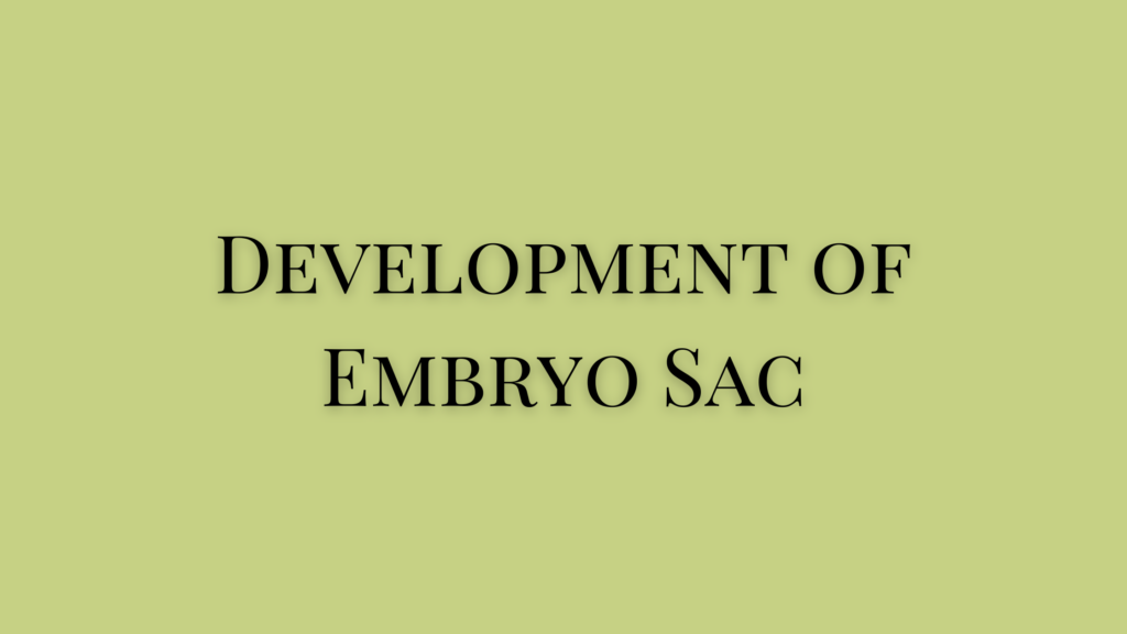 types of embryo sac