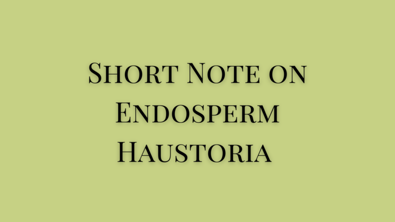 Short Note on Endosperm Haustoria