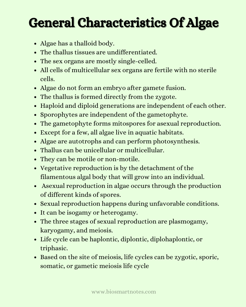 General Characteristics Of Algae