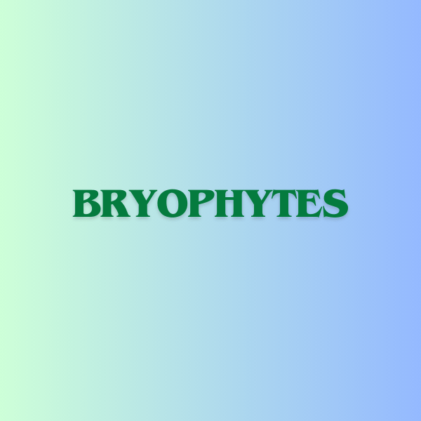 bryophytes