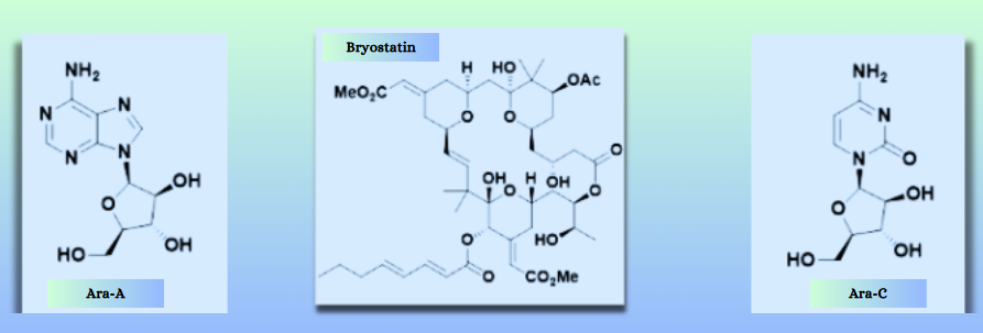 drugs from marine sources