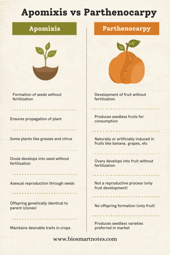 apomixis vs parthenocarpy