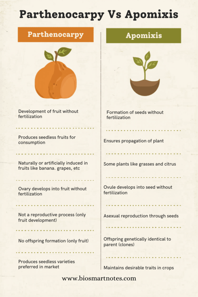 parthenocarpy vs apomixis