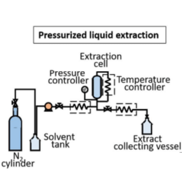 PLE isolation of curcumin