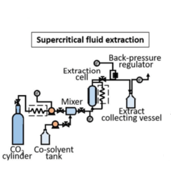 supercritical fluid extraction