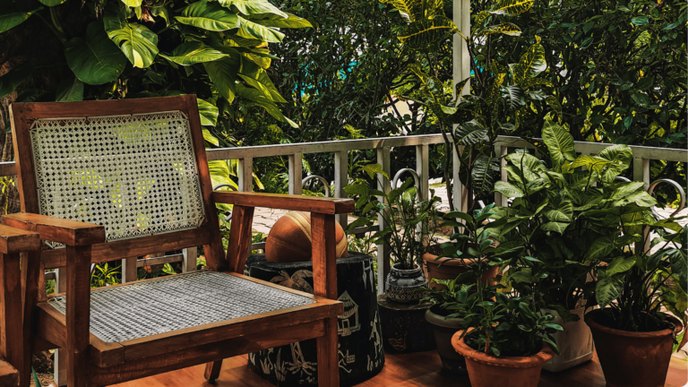 grow vegetables on balcony