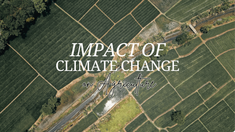 Impact of Climate Change on Agriculture