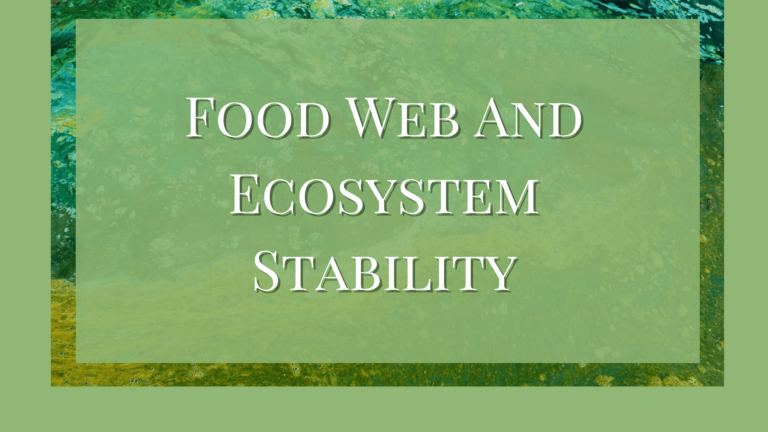 Food Web And Ecosystem Stability