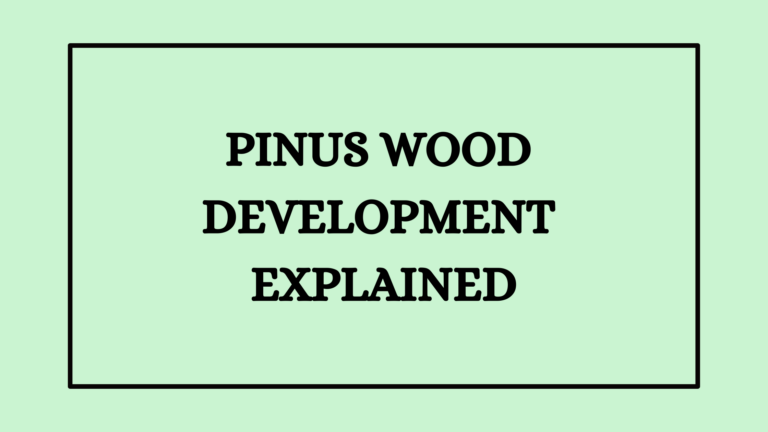 Pinus Wood Development Explained