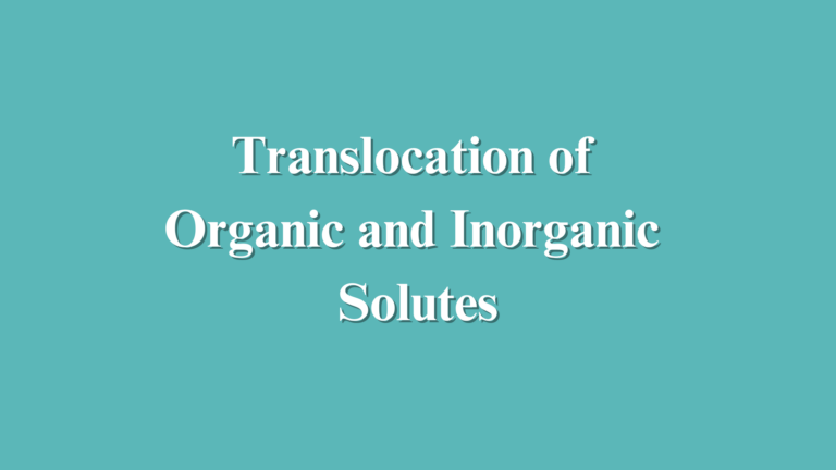 Translocation of solutes