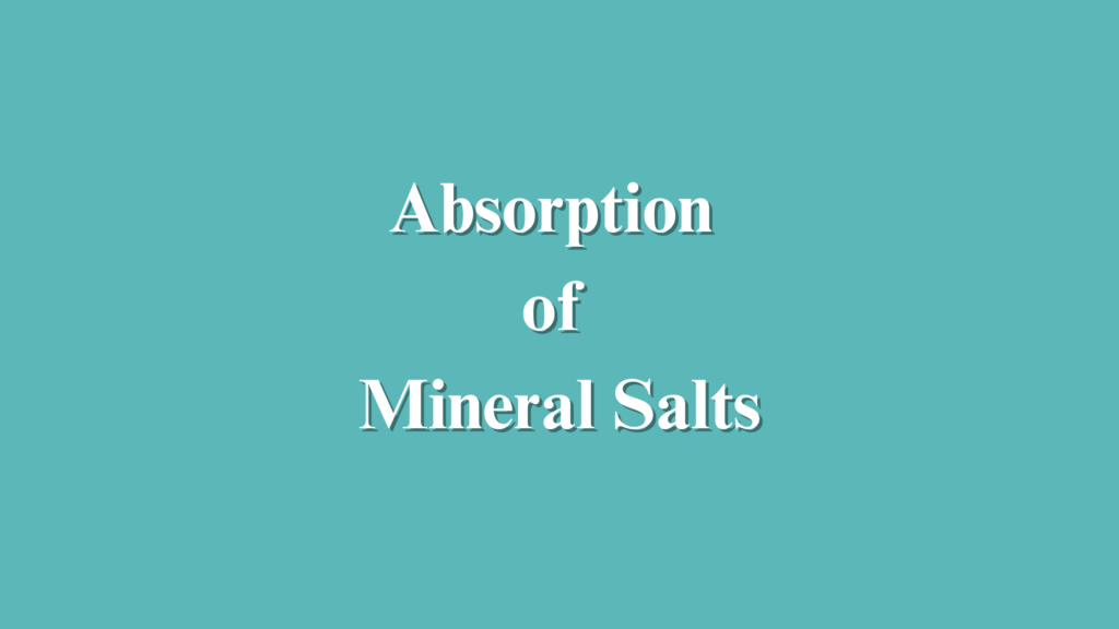 Mineral Absorption in Plants