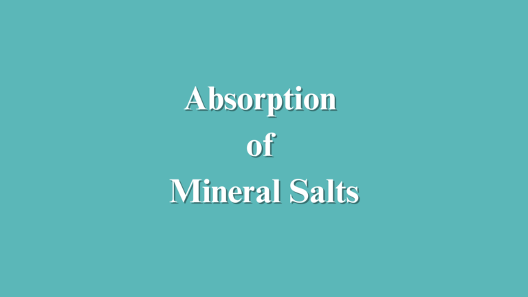 Mineral Absorption in Plants