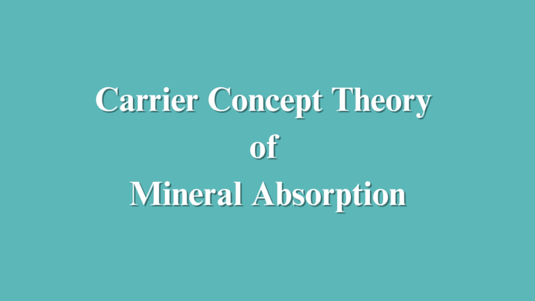 Carrier Concept Theory of Mineral Absorption