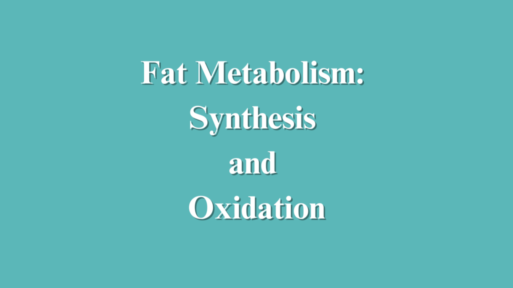 Fat Metabolism: Synthesis and Oxidation