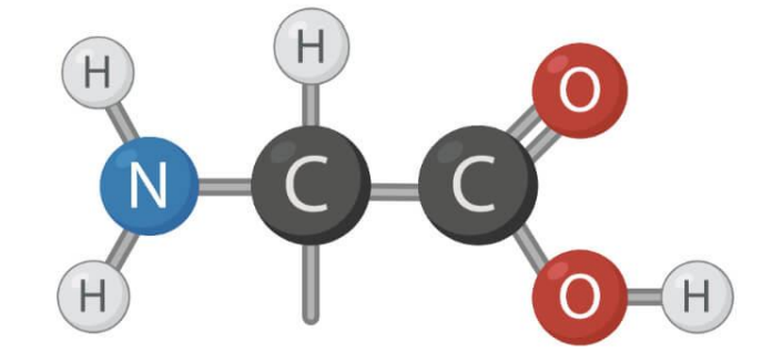 amino acid structure