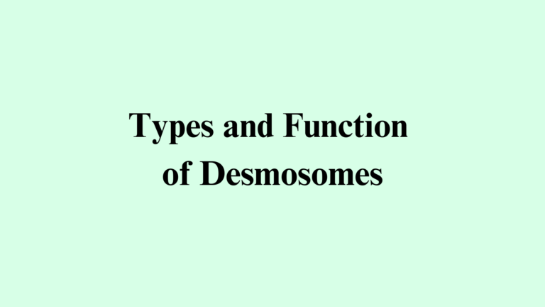 Types and Function of Desmosomes