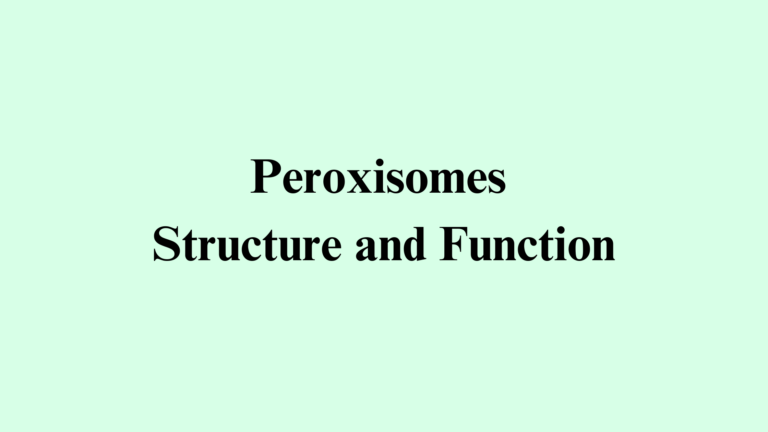Peroxisomes Structure and Function