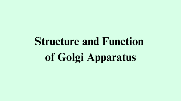 describe the structure and function of golgi apparatus