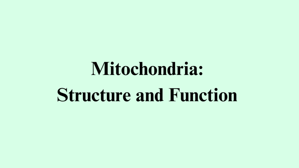 Mitochondria: Structure and Function