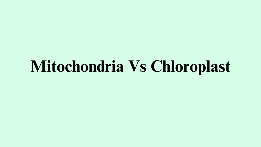 Similarities Between Chloroplasts And Mitochondria