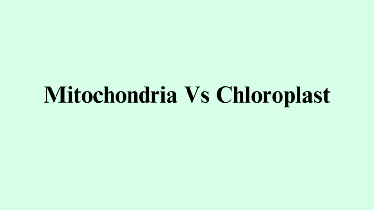 Similarities Between Chloroplasts And Mitochondria