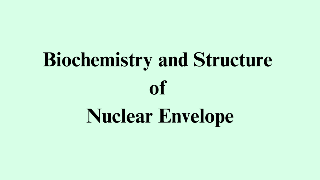 Biochemistry and Structure of Nuclear Envelope