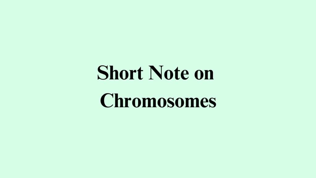 short note on chromosome