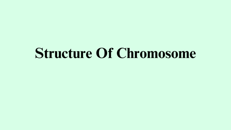 Describe the Structure of Chromosome