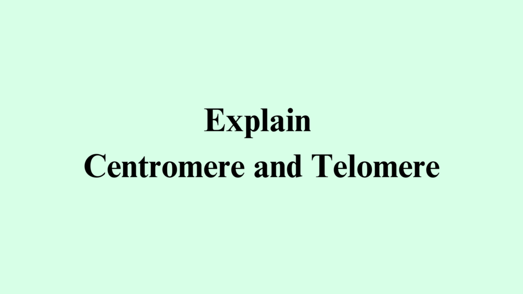 Centromere and Telomere