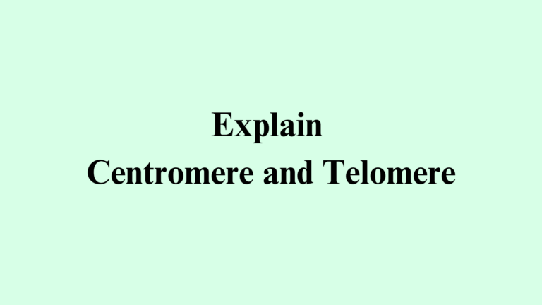 Centromere and Telomere