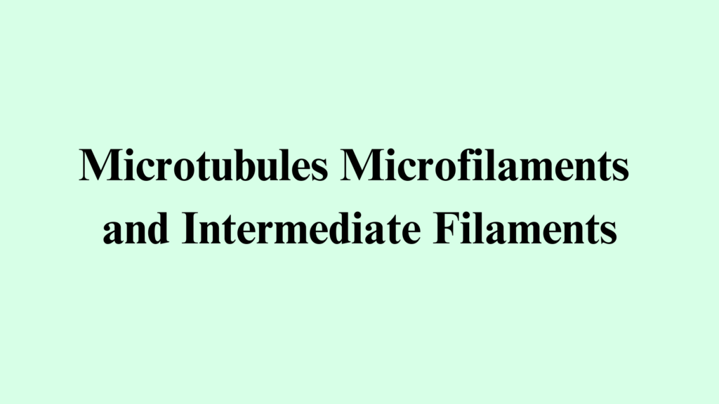 Microtubules Microfilaments and Intermediate Filaments