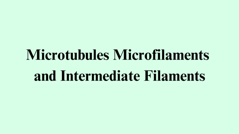 Microtubules Microfilaments and Intermediate Filaments