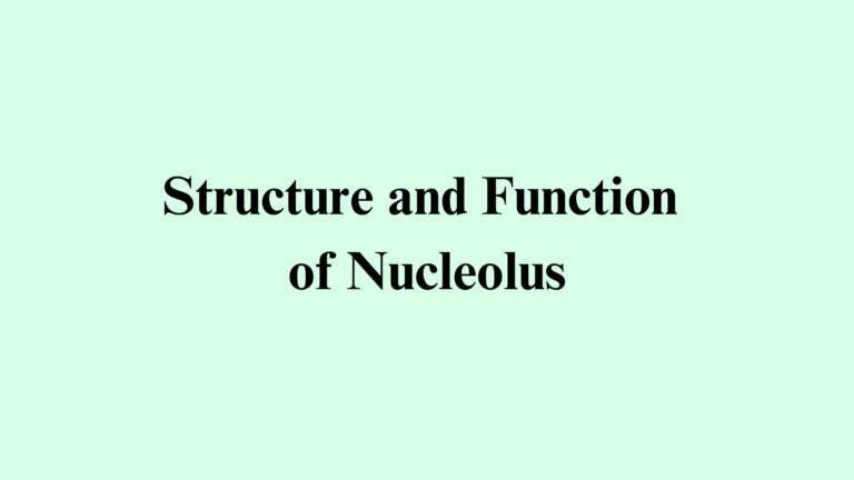 Structure and Function of Nucleolus