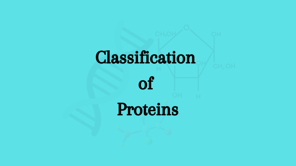 classification of proteins