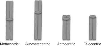 types of chromosome