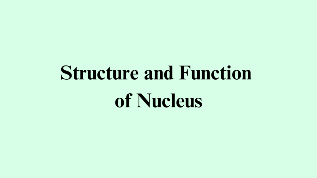 Structure and Function of the Nucleus