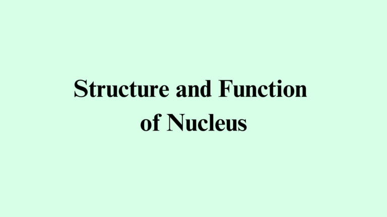 Structure and Function of the Nucleus