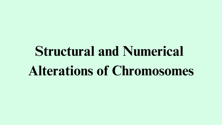 Types of Chromosomal Aberrations