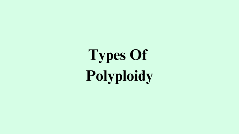 Types Of Polyploidy