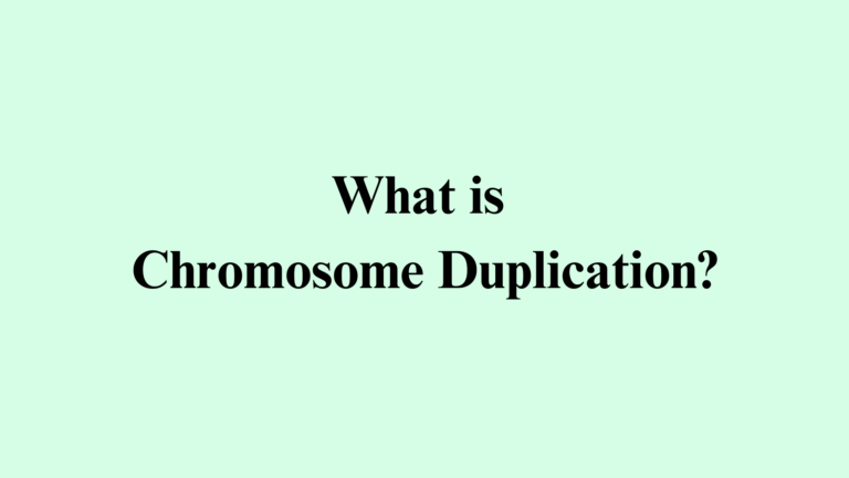 Duplication Chromosomal Aberrations