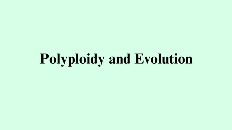 Polyploidy and Evolution