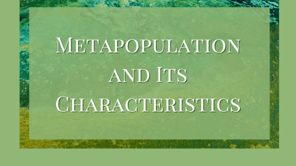 What is Metapopulation and Its Characteristics?